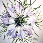 Janis McElroy