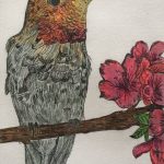 Lynanne Raven - Annas Hummingbird